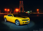 Bumblebee from Gomel